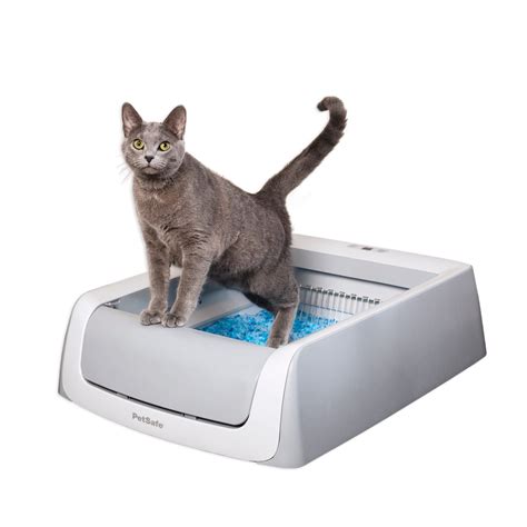 chewy scoop free electric litter box|non standard litter box.